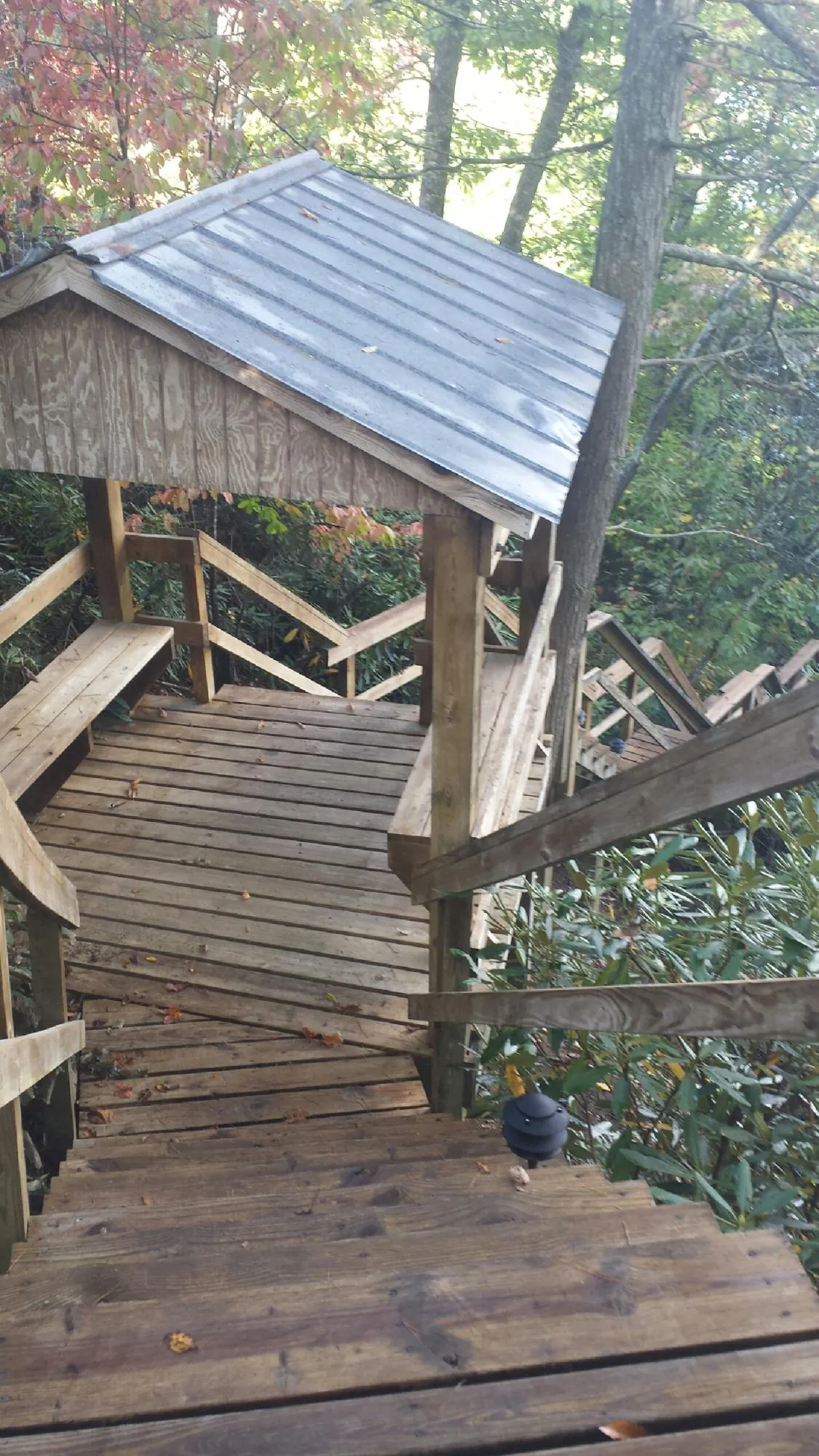 Metal roofed shelter over wooden steps on a wooded walkway — Skylight Repair & Installation work by our crew in Tulare